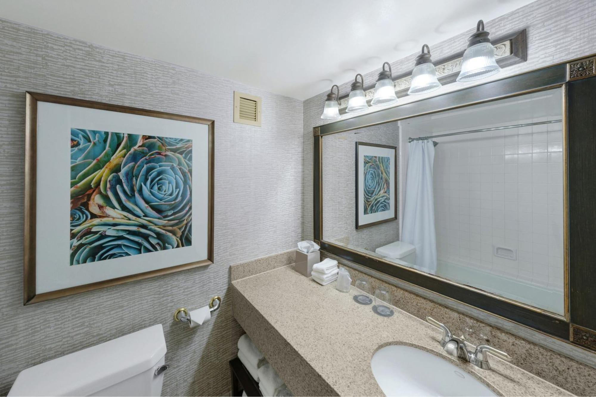 The Westin San Antonio North Hotel Екстериор снимка